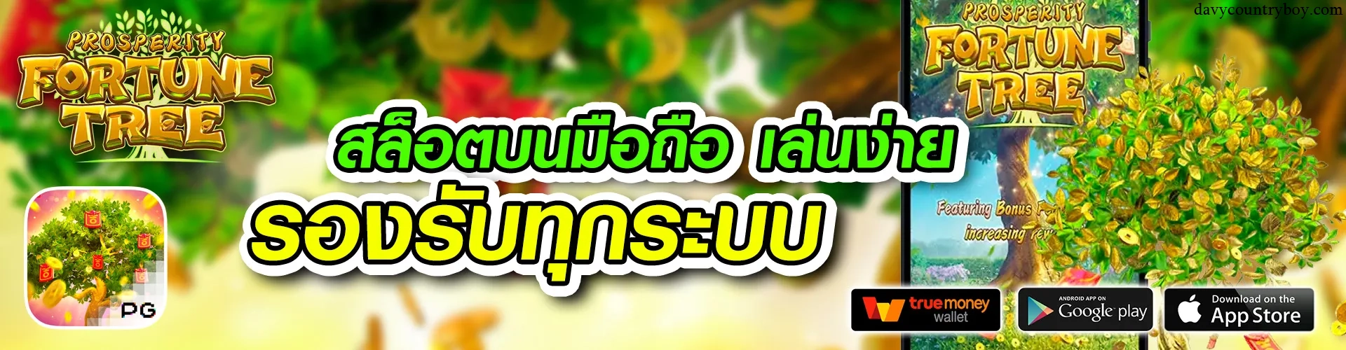 เว็บtkb696